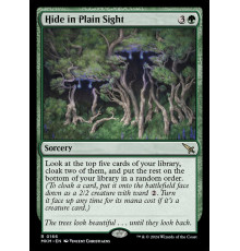 Hide in Plain Sight