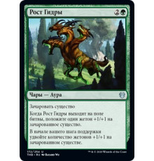 Hydra's Growth (Рост Гидры)