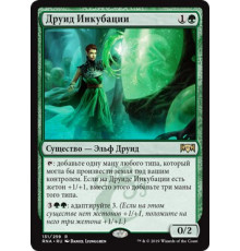 Incubation Druid (Друид Инкубации)