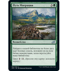 Migration Path (Путь Миграции)