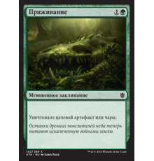 Naturalize (Приживание)