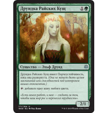 Paradise Druid (Друидка Райских Кущ)