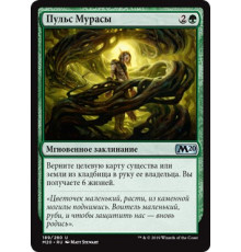 Pulse of Murasa (Пульс Мурасы)