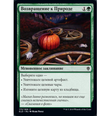 Return to Nature (Возвращение к Природе)