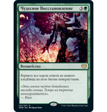 Splendid Reclamation (Чудесное Восстановление)