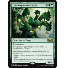 Voracious Hydra (Прожорливая Гидра)