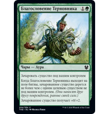 Warbriar Blessing (Благословение Терновника)