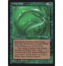 Whip Vine