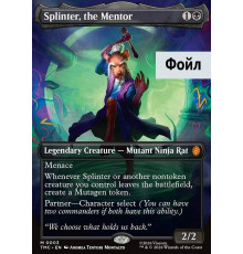 Splinter, the Mentor